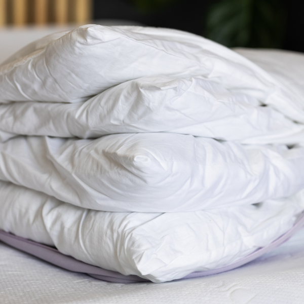 Nuream Comfort Quattro Pillow